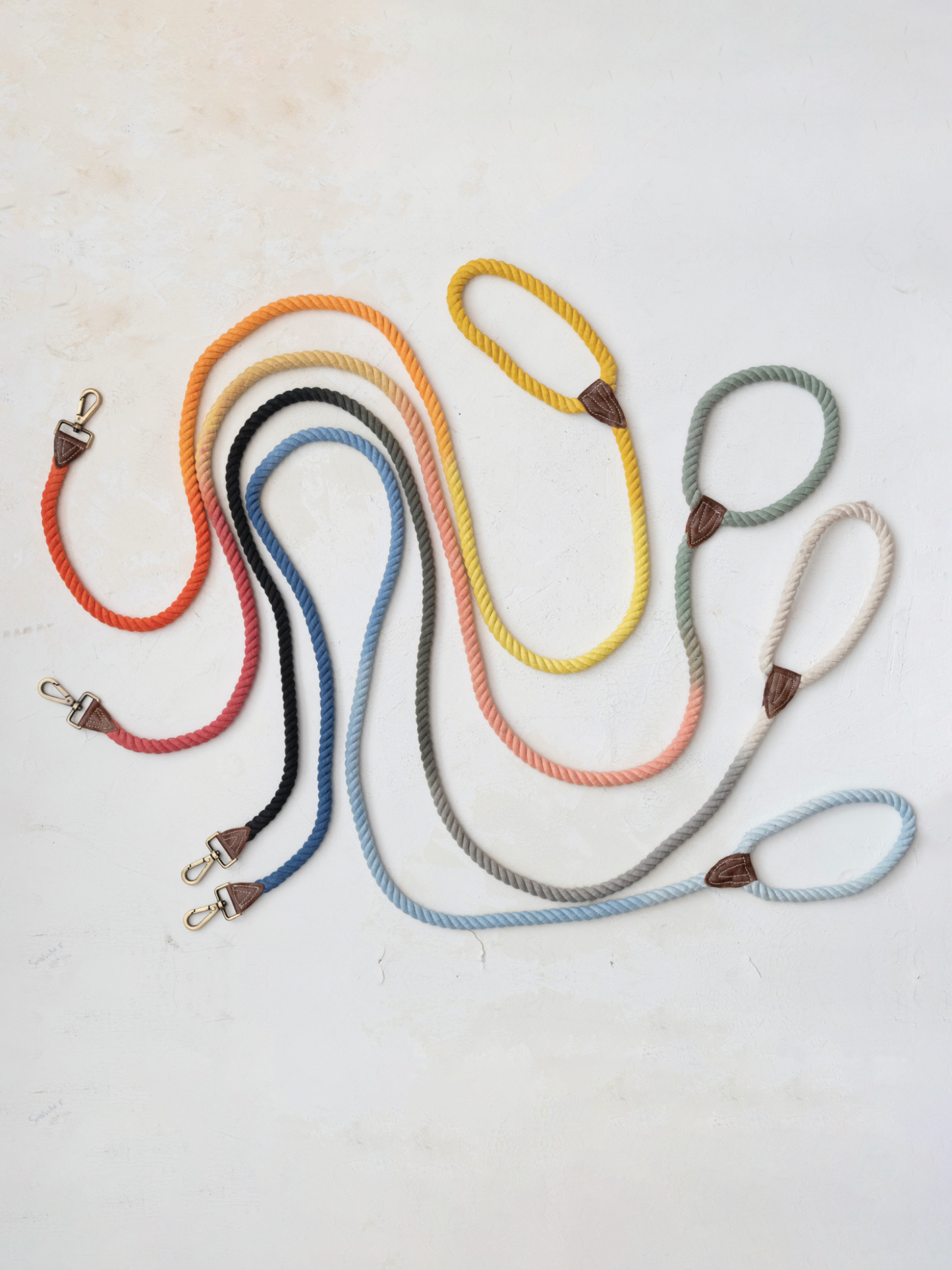 Ombre Rope and Leather Dog Lead