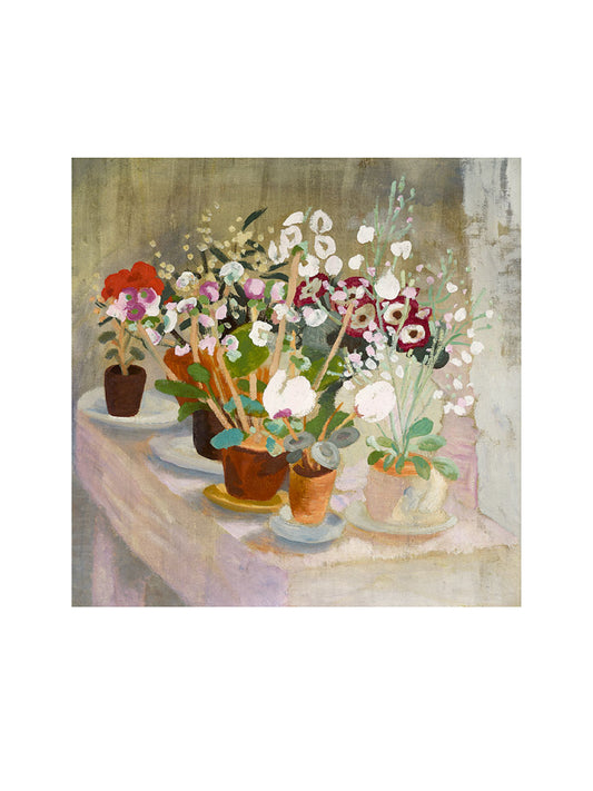 Cineraria and Cyclamen by Winifred Nicholson